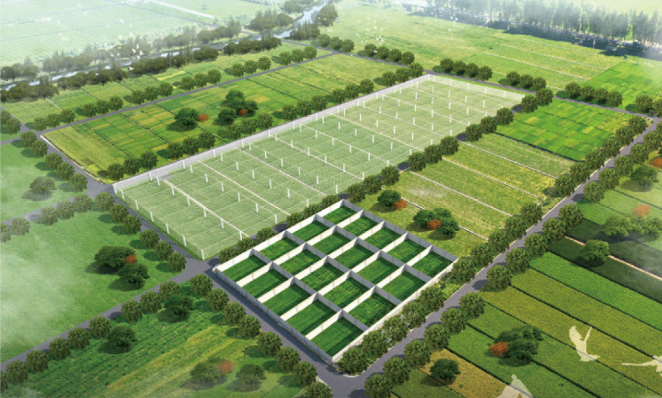 aca_strawberry_valley.png